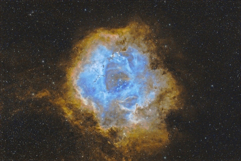 Rosette in Hubble palette