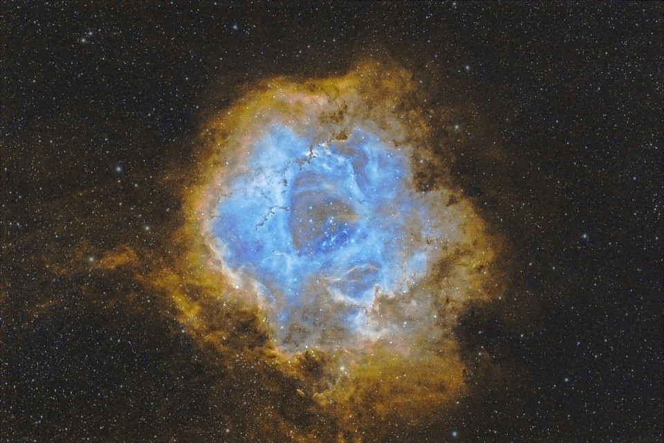 Rosette in Hubble palette